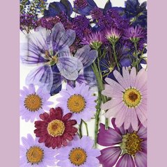 Large Wildflower Jewelry Dish
