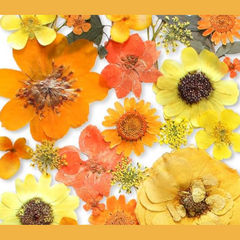 Large Wildflower Jewelry Dish